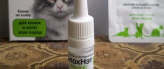 блохнэт для кошек инструкция