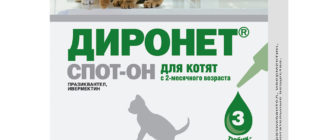 Диронет спот он