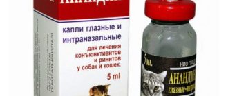 Анандин для кошек
