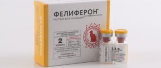 Инструкция по применению прпарата фелиферон для кошек