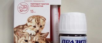 Празител